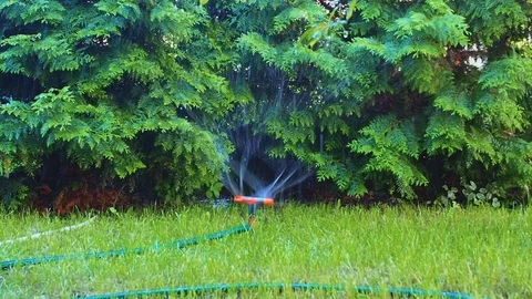 Watering the lawn in summer Stock Footage 110735730