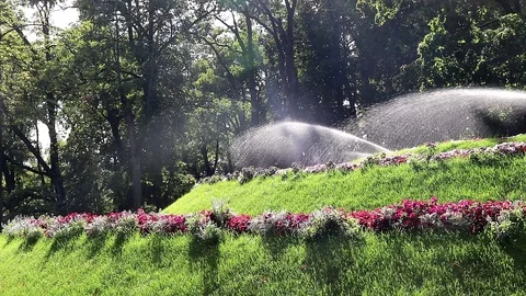 Watering the lawns. Video stock 116056779