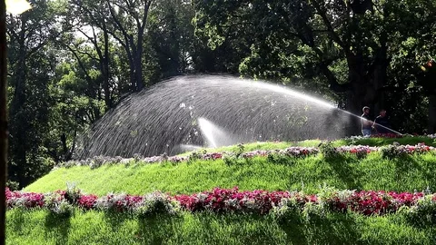 Watering the lawns Stock Footage 116056788