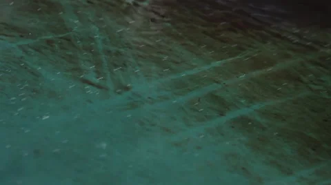 Watering machine Stock Footage 52431494