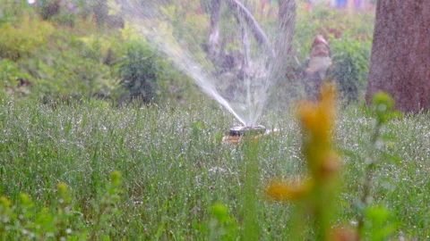 Watering machine in the forest over the grass Video stock 207950583