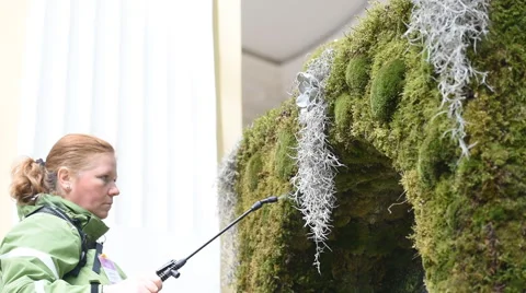 Watering the moss on the stone arch Stock-Footage 64085376