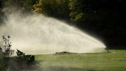 Watering in the park Stock Footage 99183457
