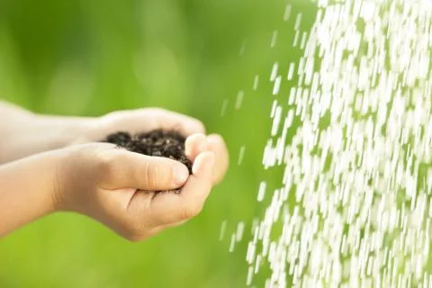 Watering Foto stock