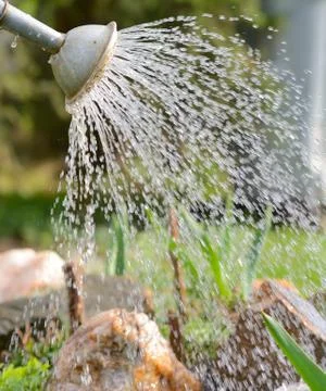 Watering Stockfoto's