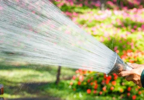 Watering Stock Photos