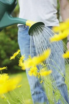 Watering Stock Photos
