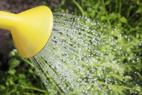 Watering Stock Photos
