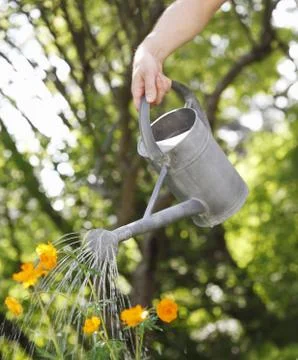 Watering Stock Photos