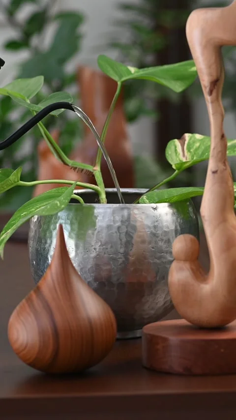 Watering plant Stock Footage 310153837