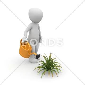Watering plant Stock Illustration