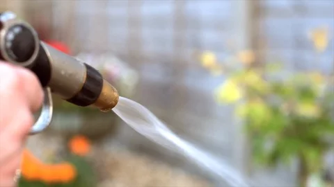 Watering Plants Close Up Video stock 93547057