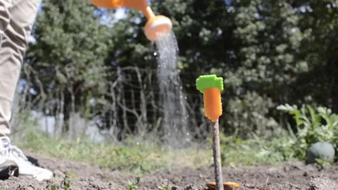 Watering Plants Stock Footage 94713231