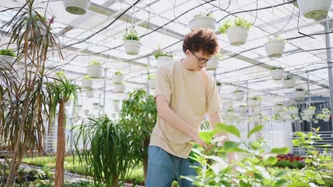 Watering the plants. Stock Footage 243579417