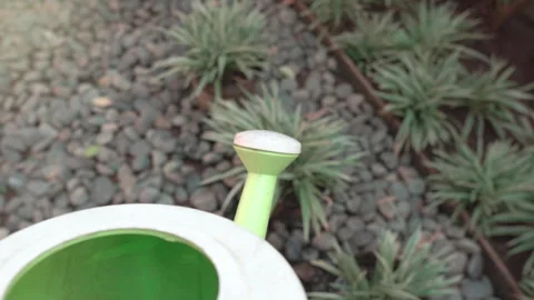 Watering Plants Stock Footage 277796784