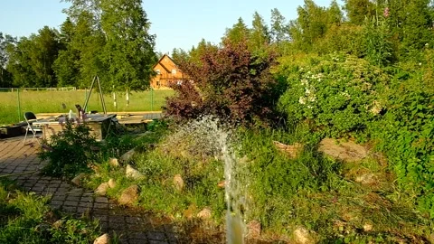 Watering plants in the garden Stock Footage 156178853
