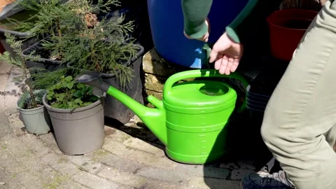 Watering Plants Using Collected Rainwater Outdoors Vídeos de archivo 332301021