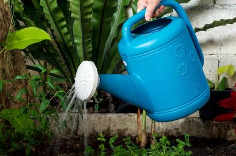 Watering pot Stock Photos
