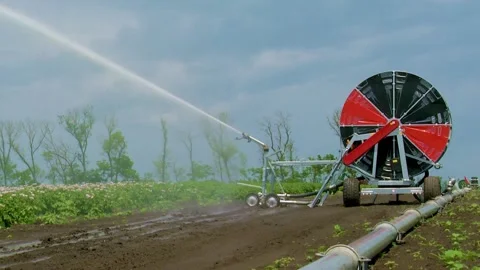 Watering the Potato field with a Sprinkler. Automatic Watering System Stock Footage 156410912
