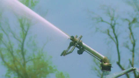 Watering the Potato field with a Sprinkler. Automatic Watering System Stock Footage 156411169