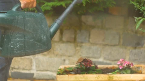 Watering pretty flowers Stock Footage 94720341
