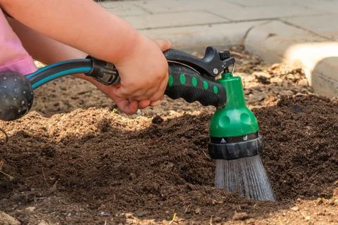 Watering process using green nozzle attachment at home gardening site 库存照片