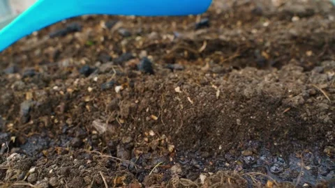 Watering rows on a bed in a greenhouse, close-up in slow motion Stock Footage 314248762