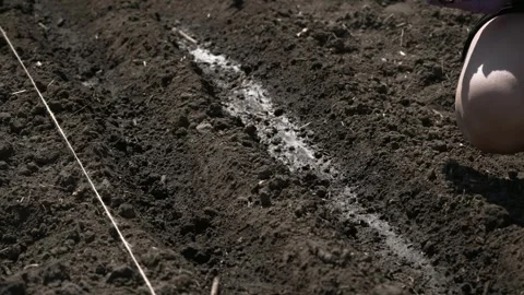 Watering Soil in the Garden Stock Footage 303423504