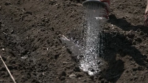 Watering Soil in the Garden Stock Footage 303423541