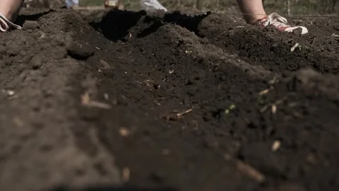 Watering Soil in the Garden Stock Footage 303423696