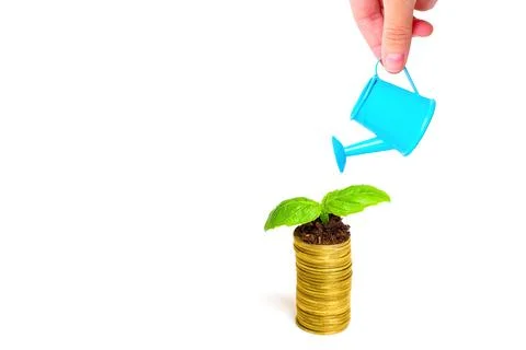 Watering a Sprouting Seedling on a Coins Stack Stock Photos