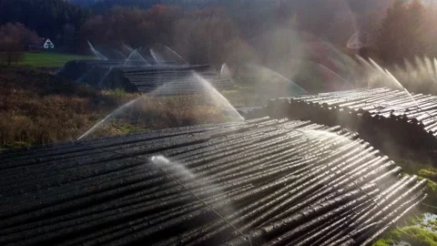 Watering spruce trunks in a timber warehouse - aerial view Stock Footage 143929602