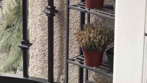 Watering a Succulent Stock Footage 130681633