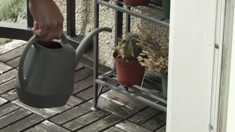 Watering a Succulent Stock Footage 130681760
