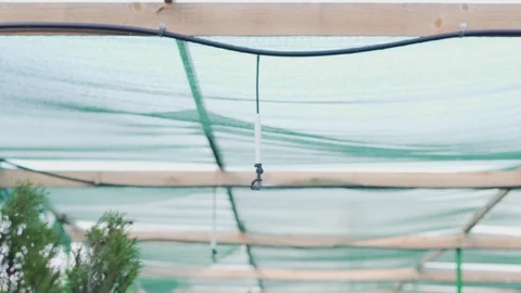 Watering system in action, irrigation on a summer day Stock-Footage 113860652
