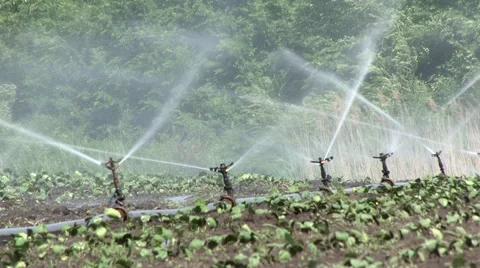 Watering system in field 库存影片 50229680