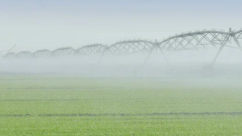 Watering System Stock Footage 98976463