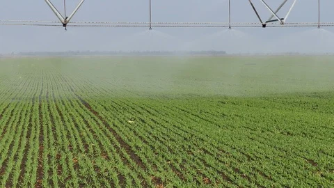 Watering System Stock Footage 98978655