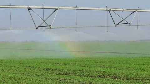 Watering System Stock-Footage 98979375
