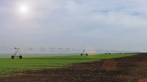 Watering System Stock Footage 98979663