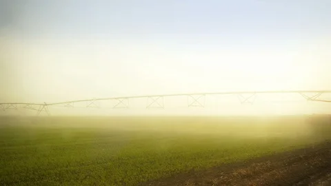 Watering System Stock Footage 98981968
