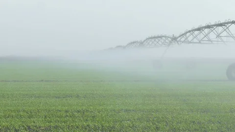 Watering System Stock Footage 98982044