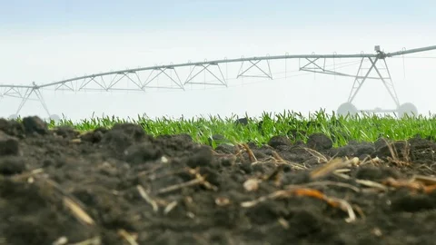 Watering System Stock Footage 98982307