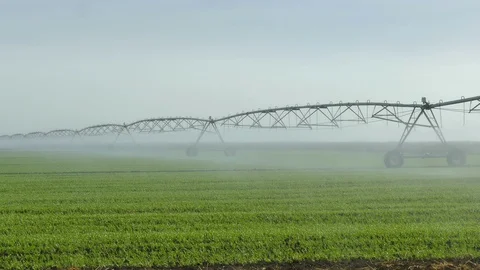 Watering System Stock Footage 99229877