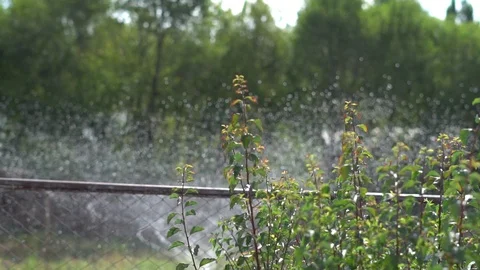 The watering system in the garden Stock Footage 94703905