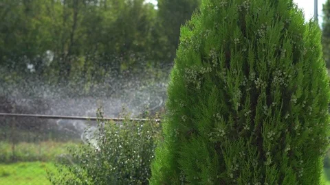 The watering system in the garden Stock Footage 94933717
