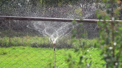 The watering system in the garden 스톡 동영상 95390553