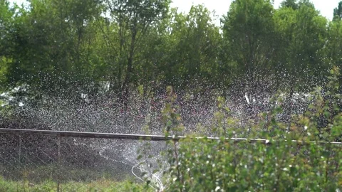 The watering system in the garden Stock Footage 105647446