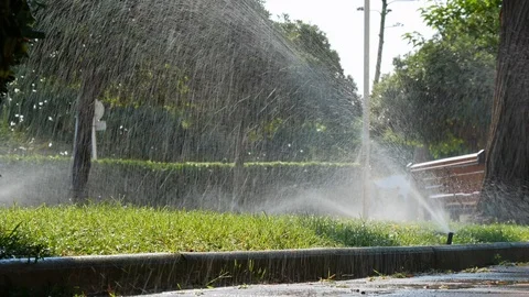 A watering system irrigates the grass Stock Footage 116560139