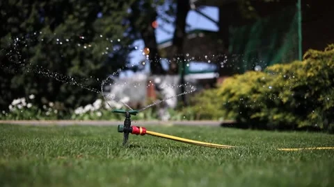 Watering system with rotating sprinkler installed on backyard lawn Video stock 278265163